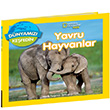 Natonal Geographc Kids Dnyamz Kefedin Yavru Hayvanlar Beta Kids