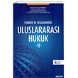 Teori ve Uygulamada Uluslararas Hukuk II Sekin Yaynevi
