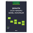 ematik Ceza Hukuku Genel Hkmler Sekin Yaynevi