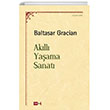 Akll Yaama Sanat Tutku Yaynevi