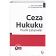 Ceza Hukuku Pratik almalar Sekin Yaynevi