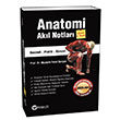 Anatomi Akl Notlar Gne Tp