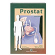 Prostat Atlas Gne Tp