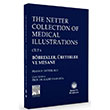 The Netter Collection of Medical Illustrations Bbrekler reterler ve Mesane Gne Tp