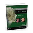 Aklamal nsan Anatomisi Atlas 3 Gne Tp