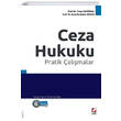 Ceza Hukuku Pratik almalar Sekin Yaynevi