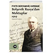Bolevik Rusyadan Mektuplar 1919 VakfBank Kltr Yaynlar