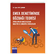Emek Denetiminde Gzba Teorisi Detay Yaynclk