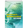 Salkta Kalite Ve Mkemmellik Aray Alt Sigma Astana Yaynlar