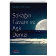 Sokan Tavan ve Ak Denizi Krmz at Yaynlar