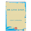 Bir ans Daha Cneyt Gndodu Atayurt Yaynevi