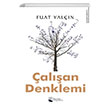alan Denklemi Karina Yaynevi