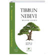Tbbun Nebevi bn Kayym El Cevziyye Gelenek Yaynclk
