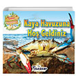 Kaya Havuzuna Ho Geldiniz Teleskop Yaynlar