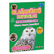 Olaanst Hayvanlar kartmal Aktivite Kitab Buket Kurt Beta Kids