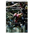 Zeytin lkesi Balkesir Balkesir Tarm rnleri