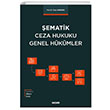 ematik Ceza Hukuku Genel Hkmler Timur Demirba Sekin Yaynclk