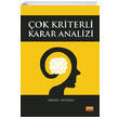 ok Kriterli Karar Analizi Ahmet Aytekin Nobel Bilimsel Eserler