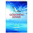 Gzmn Senas Tilki Kitap
