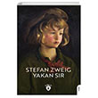 Yakan Sr Stefan Zweig Dorlion Yaynevi