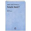 Felsefe Nedir? letiim Yaynlar
