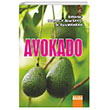 Avokado Detay Yaynclk