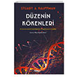 Dzenin Kkenleri Evrim Srecinde Kendiliinden rgtlenme Ve Seilim Stuart A. Kauffman Alfa Yaynlar