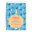 Emily Yeni Ay iftlii`nde1  Koridor Yaynclk