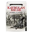 Kaybolan Bacak Dorlion Yaynevi