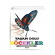 Yaam Dolu Bcekler ve Bilinmeyen zellikleri Teleskop Popler Bilim