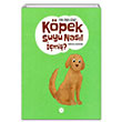 Kpek Suyu Nasl mi Esra Erken Gney Diyanet leri Bakanl Yaynlar