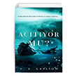 Actyor mu? H. D. Carlton Lapis Kitap