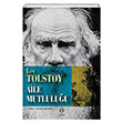 Aile Mutluluğu Lev Tolstoy Tema Yayınları