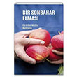 Bir Sonbahar Elmas Cemile Mutlu Hussein Klaros Yaynlar