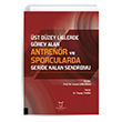 st Dzey Liglerde Grev Alan Antrenr ve Sporcularda Geride Kalan Sendromu Akademisyen Kitabevi