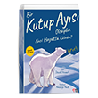 Bir Kutup Ays Olsaydn Nasl Hayatta Kalrdn? David Stewart Masalperest
