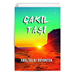 akl Ta Anl Talat Eryontuk kinci Adam Yaynlar