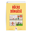 Hcre Dngs Genler in izgilerle Bilim Almidilli Yaynlar