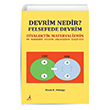 Devrim Nedir? Felsefede Devrim Alter Yaynlar