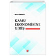 Kamu Ekonomisine Giri Ekin Yaynlar