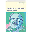 Btn iirleri  Bankas Kltr Yaynlar