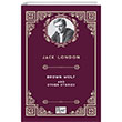Brown Wolf and Other Stories Paper Books