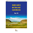 Runik Harfli Metinlerde Edizimlilik Kriter Yaynlar