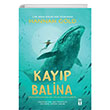 Kayp Balina (Fleksi Kapak) Gen Tima