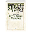 Zeytin Dalnn Glgesinde Baraka Kitap