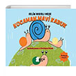 Kocaman Mavi Kabuk Parya Kitap