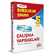 5. Snf 1. Dnem Bursluluk Snav alma Yapraklar Editr Yaynevi