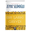 Bir ark Gibiydi  Btn Eserleri 10 Eksik Para
