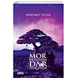 Mor Dlerim Dar Aacnda Tebeir Yaynlar
