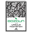 Bozgun Pegasus Yaynlar